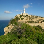 Mallorquinisch lernen